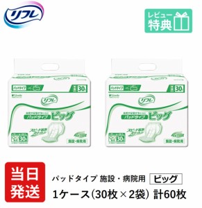 リフレ 大人用 紙 おむつ パッド パッド パッド タイプ ビッグ 30枚×2袋 ケース販売大人用オムツ 紙おむつ おむつ 大人 リフレパッドタ