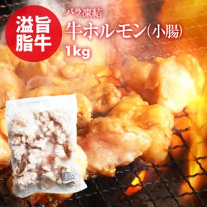 [前田家] ホルモン 便利なバラ凍結 牛 小腸 1kg お徳用 もつ鍋 焼肉 焼き肉 ホルモン焼き バーベキュー うどん 使いたい分だけ使える 鮮