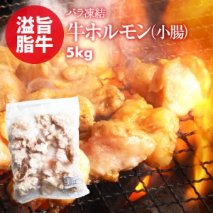 [前田家] ホルモン 便利なバラ凍結 牛 小腸 5kg（1kg×5） お徳用 もつ鍋 焼肉 焼き肉 ホルモン焼き バーベキュー うどん 使いたい分だけ