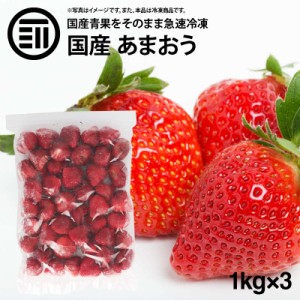 [前田家] 国産 福岡県産 イチゴ (あまおう) 冷凍 1kg(1000g) x 3袋 いちご 苺 無添加 果物 冷凍フルーツ ジャム スムージー 九州 お徳用 