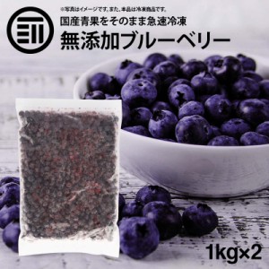 [前田家] 国産 熊本県産 ブルーベリー 冷凍 1kg(1000g) x 2袋 無添加 アントシアニン 食物繊維 果物 冷凍フルーツ トッピング ジャム ス