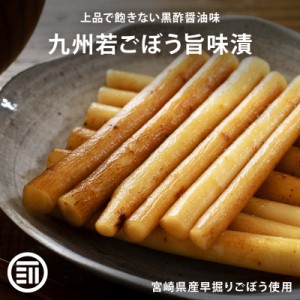 [前田家] 国産 プレミアム ごぼう漬け 150g ご飯のお供 飽きのこない和風醤油味 おかず おつまみ 漬物 お酒によくあう 送料無料