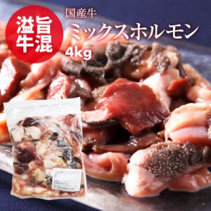 [前田家] 国産 牛 ミックス ホルモン 4kg（400g×10） お徳用 小腸 センマイ 心臓 ギアラ 盲腸 もつ鍋 焼肉 焼き肉 ホルモン焼き バーベ