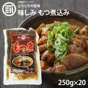 [前田家]  九州の味 とろとろもつ煮込み 250gx20パック 国内製造 モツ煮 ホルモン 煮込み料理 レトルト 惣菜 煮物 おかず 常温 食品 おつ