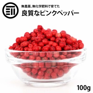 [前田家] ピンクペッパー ホール 100g マダガスカル産 希少 最高品質 無農薬 無化学肥料 胡椒 スパイス ハーブ 香辛料 ステーキ パスタ 