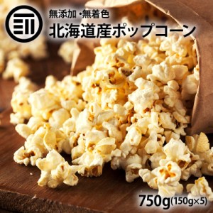 [前田家] 国産 ポップコーン 750g（150g×5袋）北海道産 希少とうもろこし コーン 無添加 無着色 無油【Rich Life シリーズ】 送料無料 