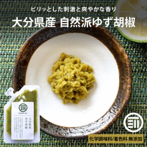 [前田家] 新商品 国産 大分県産 柚子胡椒 80g 無添加 柚子胡椒 鍋 もつ鍋 餃子 豚汁 湯豆腐 味噌汁 納豆 おでん 鶏のたたき ピザ  パスタ