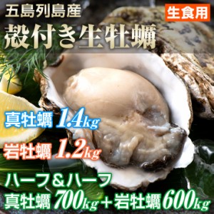 殻付き生牡蠣  特大サイズ 選べる3種類 真牡蠣1.4kg 岩牡蠣1.2kg ハーフ700g＆ハーフ600g 長崎県五島列島産 ギフト