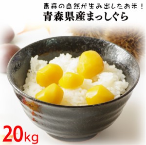 令和5年産 まっしぐら20kg (10kgx2) お米 青森県産 まっしぐら 送料無料 白米 精米