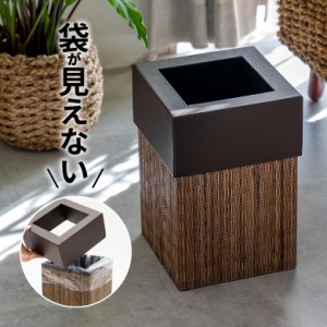 ゴミ箱 ごみ箱 ダストボックス 9L 正方形 四角形 パームリディ 約W 20.5cm D 20.5cm H 30cm ナチュラル 見えない 袋が見えない 中身 フェ