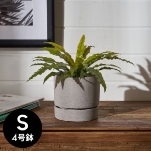 植木鉢 ポリストーン ストーン調 セメント調 4号鉢 受皿 底穴あり 小型 Sサイズ 約 W 12.5cm D 12.5cm H 12cm グレー プランターポット 