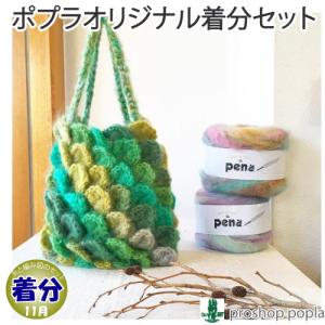 【秋冬】うろこのバッグ【中級者】【編み物キット】
