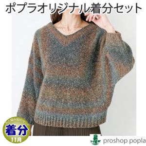 【秋冬】ドルマンスリーブのVネックプル【中級者】【編み物キット】