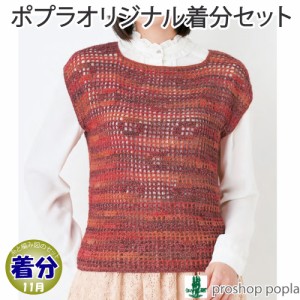 【秋冬】方眼編みのまっすぐベスト【中級者】【編み物キット】