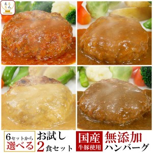 レトルト 惣菜 おかず セット で選べる ハンバーグ 2食 詰め合わせ 【 送料無料 メール便 】 レトルト食品 無添加 国産 牛肉 豚肉 洋風惣