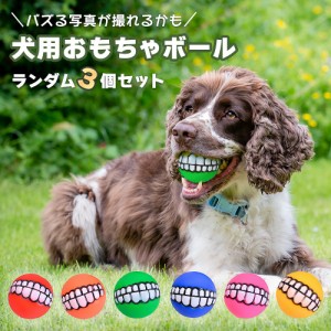 犬用おもちゃ ボール ランダム色3個セット SNS映え 音がなる ソフトゴムボール 歯 面白い いい写真が撮れる インスタ映え ユニークペット