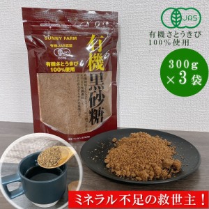 黒砂糖 有機 JAS サニーファーム 有機さとうきび100％ 食べやすい 黒糖 くろざとう コク深い 風味豊か 調味料 美味しい おすすめ フィリ