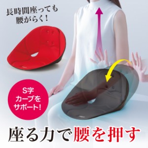 ボードクッション cosios(コシオス) 柔道整復師推奨 背筋 骨盤 お尻 支える 男女兼用