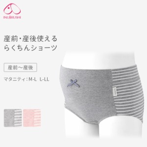 マタニティショーツ 犬印 らくちんショーツ ボーダー 綿混素材 産前 産後 M L LL 大きいサイズ パンツ 下着 妊婦 犬印本舗 sh2466 *4