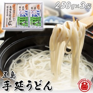 五島うどんセット スープ・めんつゆ付き 250g×3 うどんギフト うどん 乾麺 プチギフト お歳暮 ギフト 食品 送料無料