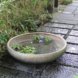 陶器 特大窯変スイレン鉢 睡蓮鉢 大型水鉢 水鉢 すいれん鉢 金魚鉢 メダカ鉢 ハス鉢 信楽焼 おしゃれ 和風【手作り】