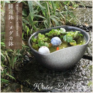 金魚 陶器の通販｜au PAY マーケット｜3ページ目