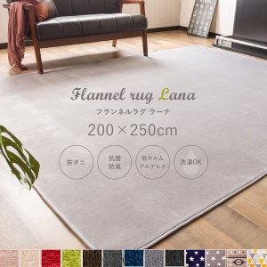 【送料無料】 ラグ カーペット 防ダニ 抗菌防臭 低ホルムアルデヒド ラグマット 洗える 200×250cm 3畳 三畳 長方形 フランネル ラーナ