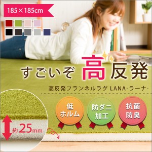 ラグマット ラグ カーペット 高反発 厚さ2cm 防ダニ 抗菌防臭 フランネル クッション性 185×185cm 正方形 一人暮らし