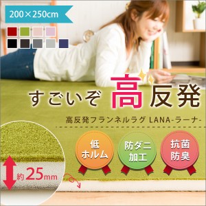 ラグマット ラグ カーペット 高反発 厚さ2cm 防ダニ 抗菌防臭 フランネル クッション性 250×200cm 長方形 一人暮らし