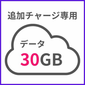 【追加チャージ専用】G40 30GB 日本国内専用