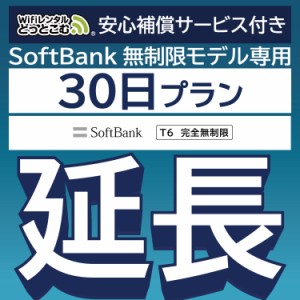 【延長専用】 安心補償付き wifi レンタル 完全無制限 T6 30日 ルーター wi-fi  ポケットwifi