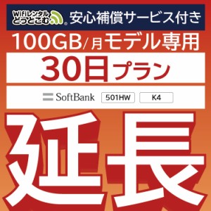 【延長専用】 補償付き wifi レンタル wifiレンタル 100GBプラン 30日 ルーター wi-fi  ポケットwifi