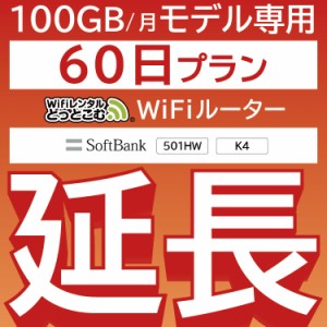 【延長専用】 wifi レンタル wifiレンタル 100GBプラン 60日 ルーター wi-fi  ポケットwifi