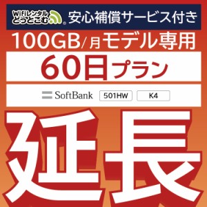 【延長専用】 補償付き wifi レンタル wifiレンタル 100GBプラン 60日 ルーター wi-fi  ポケットwifi