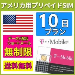 レンタル Sim 無制限の通販 Au Pay マーケット