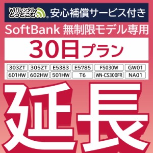 【延長専用】 安心補償付き wifi レンタル 30日 ルーター wi-fi  ポケットwifi 1ヵ月