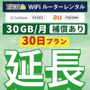 【延長専用】 安心補償付き wifi レンタルwifi レンタル 30GBプラン  30日 ルーター wi-fi  ポケットwifi 1ヵ月