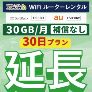 【延長専用】wifi レンタル 30GBプラン 30日 ルーター wi-fi  ポケットwifi 1ヵ月