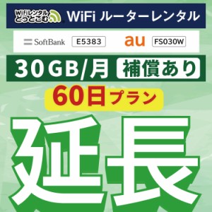 【延長専用】 安心補償付き wifi レンタルwifi レンタル 30GBプラン  60日 ルーター wi-fi  ポケットwifi 2ヵ月