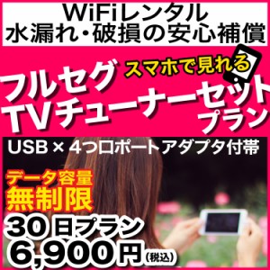 【止】ポケットwi-fi レンタル 無制限 30日 E5383 softbank ソフトバンク 往復送料無料 即日発送 ポケットwifi wi-fi ルーター 1ヵ月 入