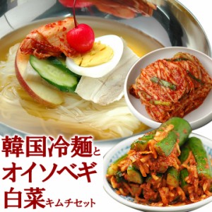 韓国冷麺8食と白菜キムチ300g・オイソベギ4切のセット【冷蔵限定】【送料無料】