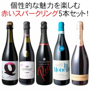 【送料無料】ワインセット赤 スパークリングワイン 5本 セット 辛口 ランブルスコ バルベーラ カベルネ  家飲み パーティ 女子会  プレゼ