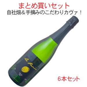 【送料無料】カヴァ　ラ・パシオン　ブリュット　1ケース6本セット　家飲み　まとめ買い　白【沖縄・離島は別料金加算】