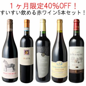 【送料無料】１ヶ月限定40%OFF！スイスイ飲める赤ワイン 5本セット ワインセットフランス ボルドー　ラングドック 6月30日まで