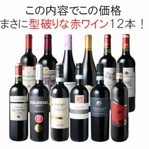 【送料無料】第53弾 ワインセット 渾身 赤ワイン 12本 セット ボルドー フランス イタリア スペイン ポルトガル　型破り赤