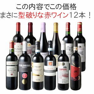 【送料無料】第54弾 ワインセット 渾身 赤ワイン 12本 セット ボルドー フランス イタリア スペイン ポルトガル　型破り赤