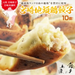 【新商品】みやざき地頭鶏餃子10個　宮崎餃子 高鍋餃子 ぢどっこ さっぱり もっちり 皮 九州 宮崎ぎょうざ ご当地 ギョーザ  餃子女子 熱