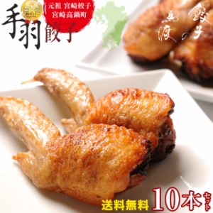 【がむしゃらグルメ 日本一の餃子認定！】手羽餃子10本　送料無料 宮崎餃子 高鍋餃子 国産 手羽先餃子 BBQ バーベキュー パーティー ギフ