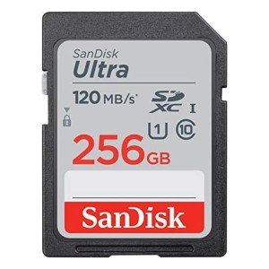 Sandisk  サンディスク メモリーカード SDXC 256GB SDSDUN4-256G-GN6IN SDSDUN4-256G-GN6IN (2510267)  送料無料