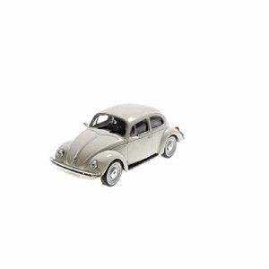 タミヤ 1/24 スポーツカーシリーズ No.136 フォルクスワーゲン 1300 ビート(中古品)